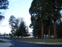 Ruby Park